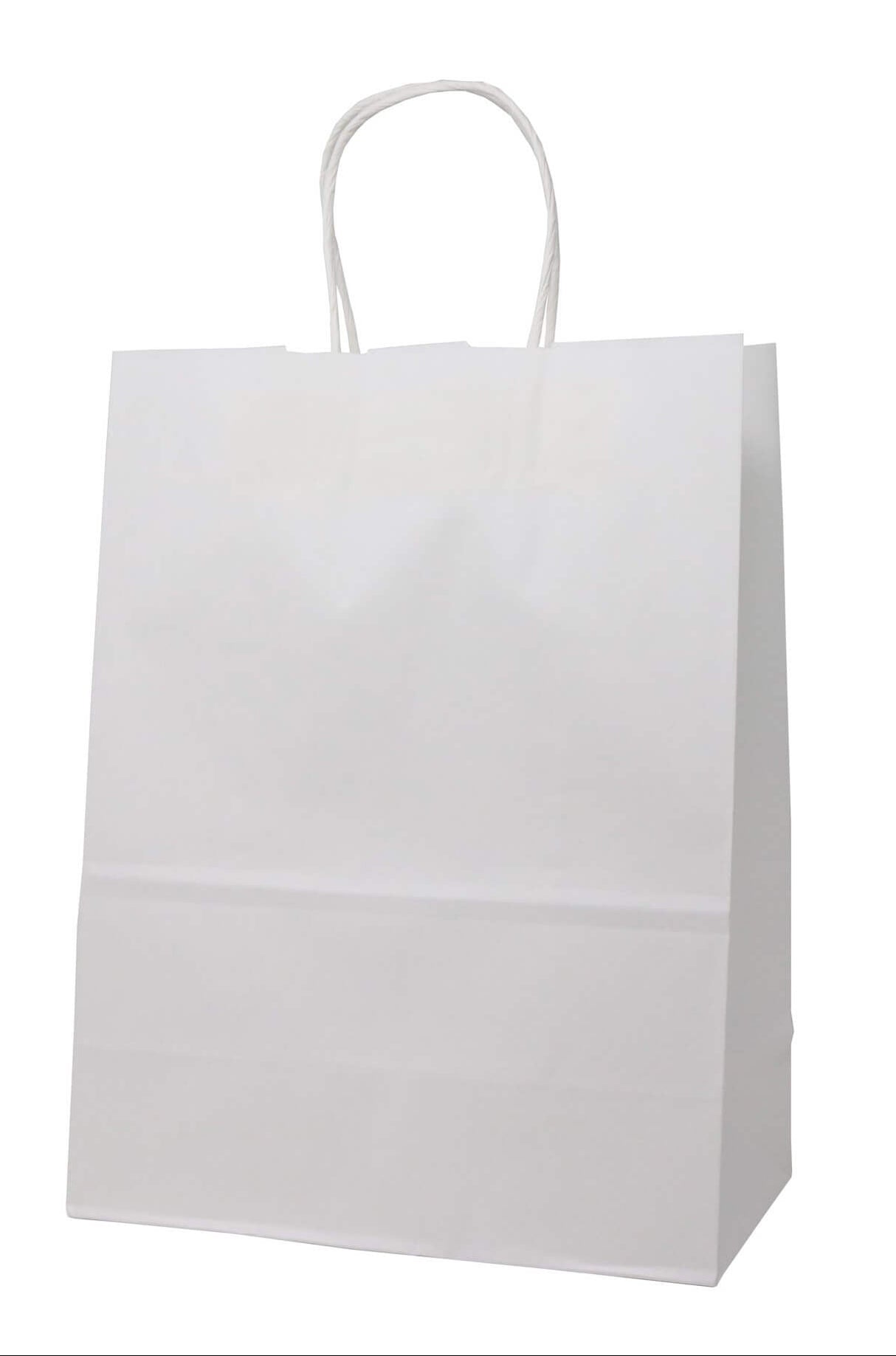 RiteEarth - 9" x 6" x 13" White Paper Twist Handle Bag, 250/Cs - PT09613W