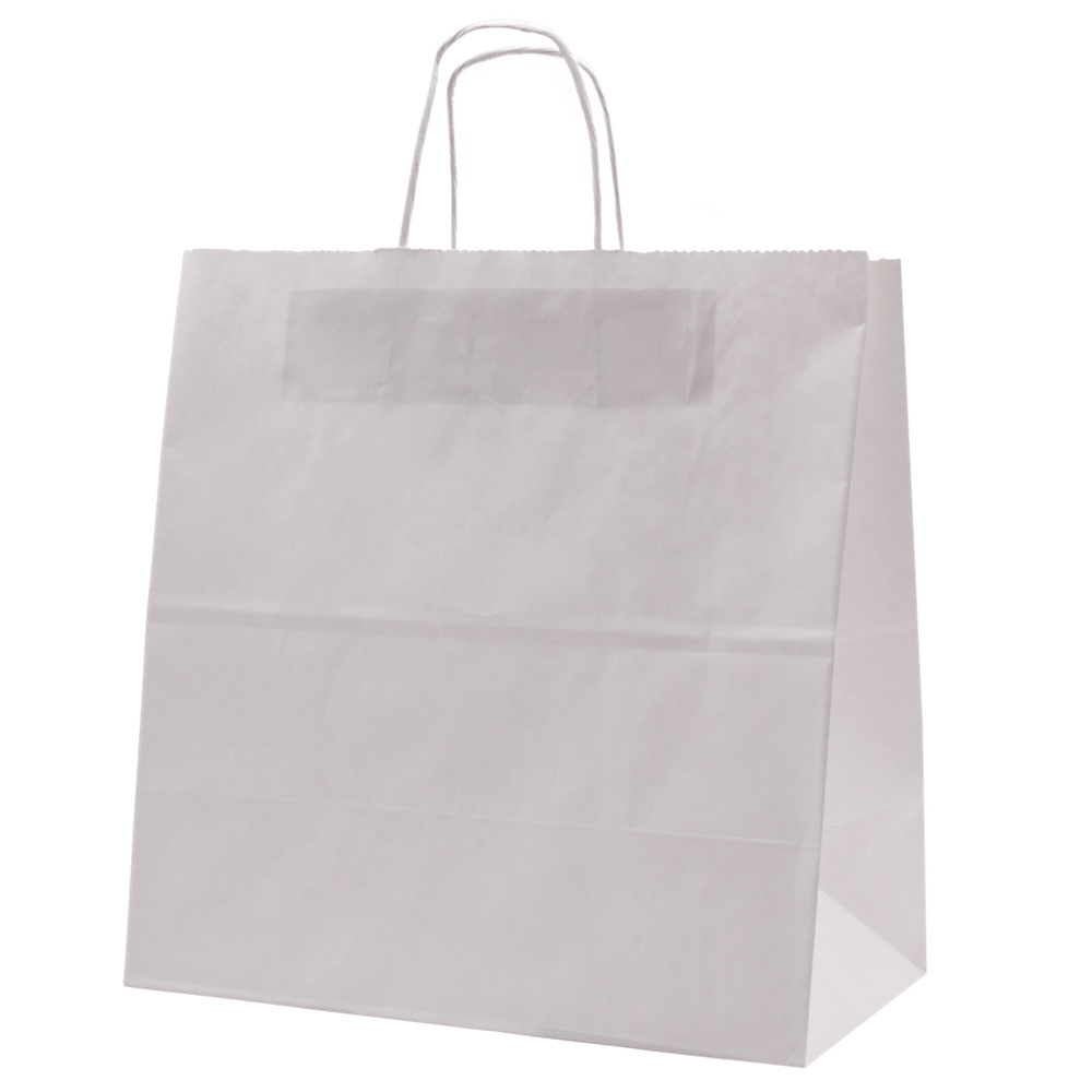 RiteEarth - 13" x 7" x 13" White Paper Twist Handle Bag, 250/Cs , 16Cs/Sk - PT13713W
