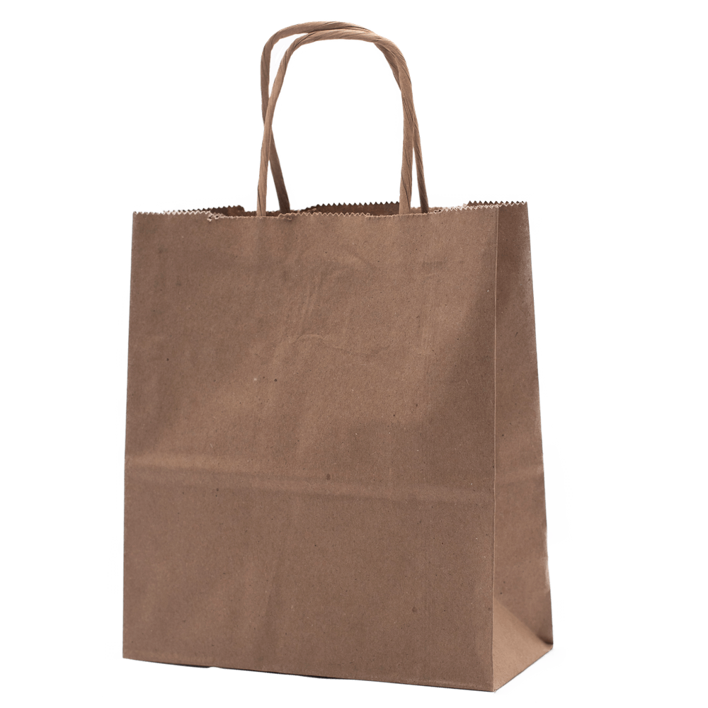 RiteEarth - 7" x 3.5" x 8" Kraft Paper Twist Handle Bag, 250/Cs, 42Cs/Sk - PT07308K