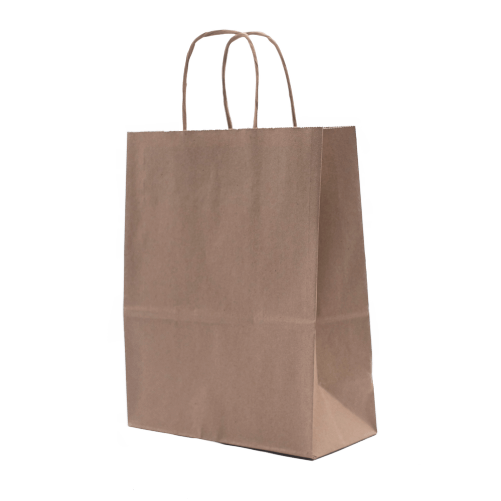 RiteEarth - 8" x 4.5" x 10" Kraft Paper Twist Handle Bag, 250/Cs , 42Cs/Sk - PT08410K