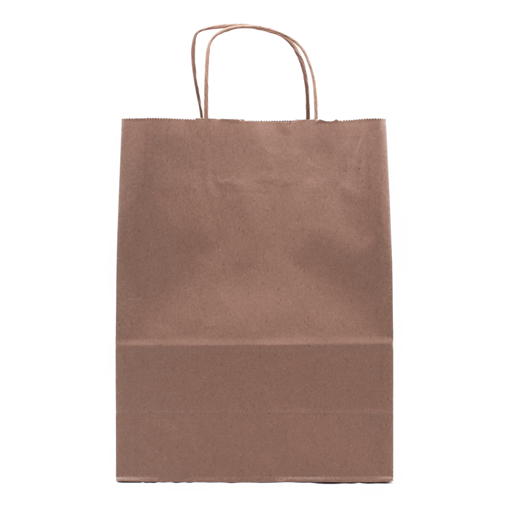 RiteEarth - 10" x 5" x 13" Kraft Paper Twist Handle Bag, 250/Cs, 24Cs/Sk - PT10513K